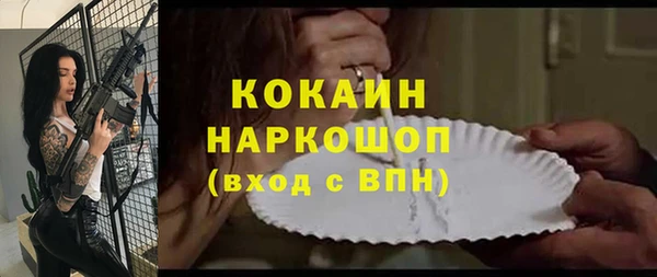 гашик Новодвинск