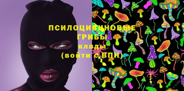 тгк Абаза