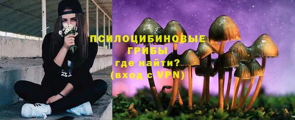 тгк Абаза