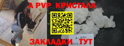индика Дубна