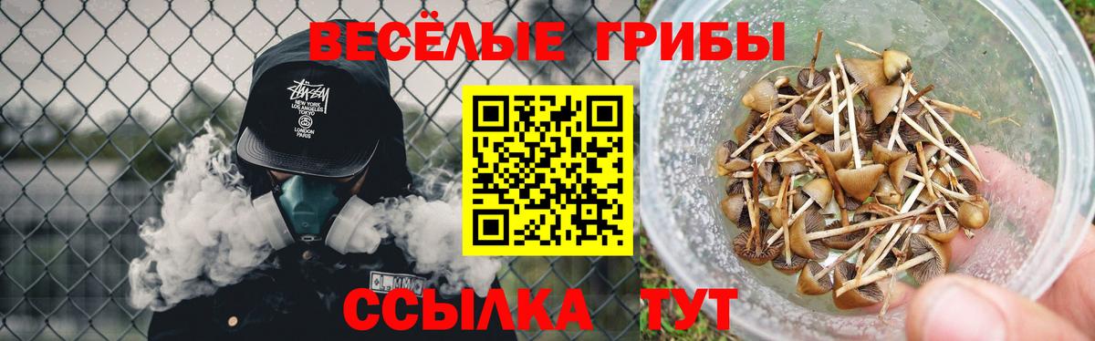 Псилоцибиновые грибы MAGIC MUSHROOMS  Вход с VPN  Соликамск 
